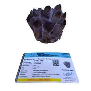 A raw ametrine phantom crystal cluster displayed overhead alongside its official Shrifal Gemological Laboratory Services gemstone identification report