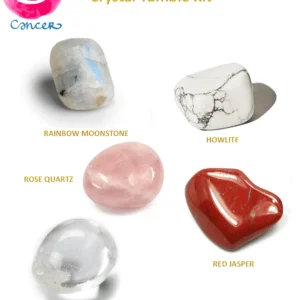 Premium Zodiac Crystal Tumble Kit for Cancer featuring labeled tumbled stones of Rainbow Moonstone, Howlite, Rose Quartz, Clear Quartz, and Red Jasper on a white background.
