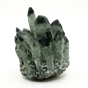 Lab Certified AAA Grade Dark Green Jade Phantom Crystal Cluster isolated on a pure, seamless white background by Divinity Crystals.