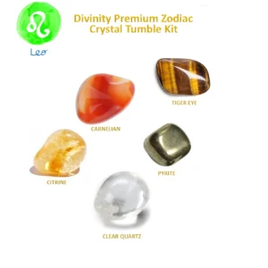 Divinity Premium Zodiac Crystal Tumble Kit for Leo featuring labeled tumbled stones of Carnelian, Tiger Eye, Citrine, Pyrite, and Clear Quartz on a white background.