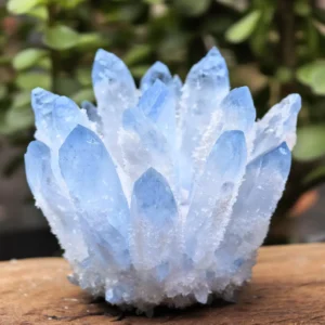 A natural aquamarine phantom crystal cluster featuring frosted icy blue points resting on a textured wooden surface against a blurred green foliage background