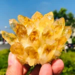 A hand holding a vibrant, natural yellow citrine phantom crystal cluster outdoors, illuminated by sunlight against a background of green trees and a clear blue sky.