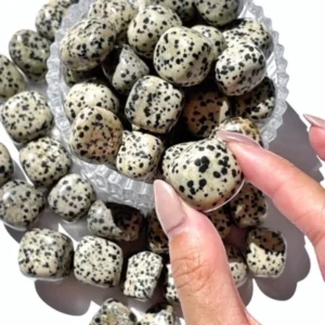 Close-up of a hand holding a single high-gloss natural Dalmatian Jasper tumbled stone between thumb and index finger above a crystal glass bowl filled with black-spotted cream Dalmatian stones.