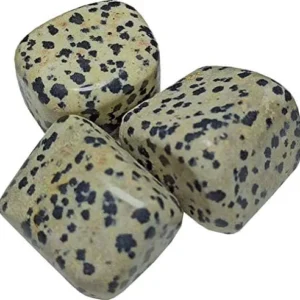 Three polished natural Dalmatian Jasper tumbled stones arranged in a triangle on a pure white studio background, showcasing creamy beige feldspar matrices speckled with jet-black arfvedsonite and tourmaline spots for Root Chakra grounding and joy.