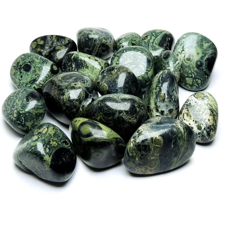 Studio cluster of eighteen mirror-polished natural Kambaba Jasper tumbled stones isolated on a pure white background, showcasing deep forest-green and black orbicular stromatolite swirl patterns for Heart and Root Chakra grounding.