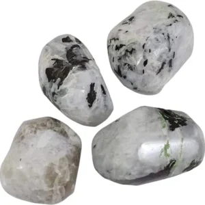Four handpicked natural Rainbow Moonstone tumbled stones isolated on a pure white studio background, showcasing translucent white feldspar matrices with natural black tourmaline and green epidote mineral inclusions.