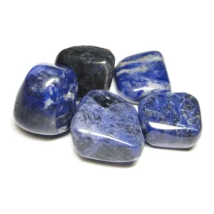 Macro top-down view of four natural Sodalite tumbled stones isolated on a pure white background, showcasing denim and royal blue hues with white calcite mottling for Third Eye and Throat Chakra healing.