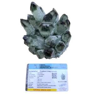 A raw dark green jade phantom crystal cluster displayed overhead alongside its official Shrifal Gemological Laboratory Services gemstone identification report.